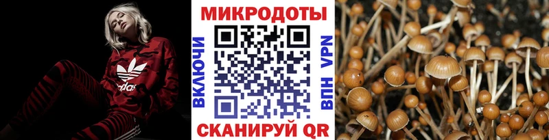 Псилоцибиновые грибы Magic Shrooms  Межгорье 